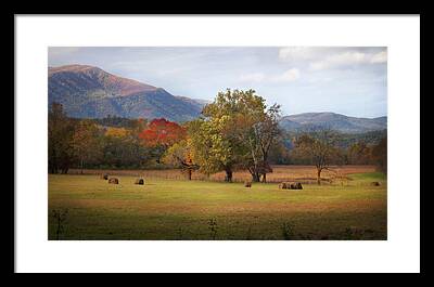 Tennessee Hay Bales Framed Prints