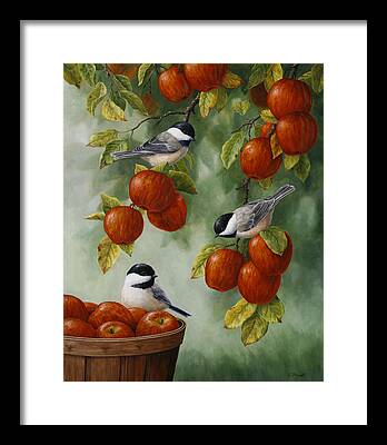 Apple Trees Framed Prints