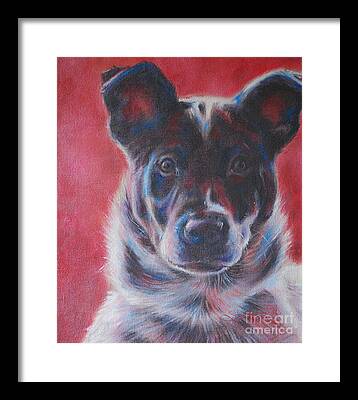 Blue Heeler Framed Prints