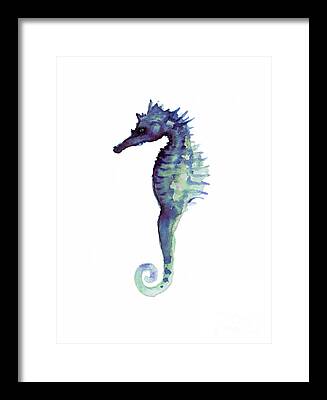Seahorse Framed Prints