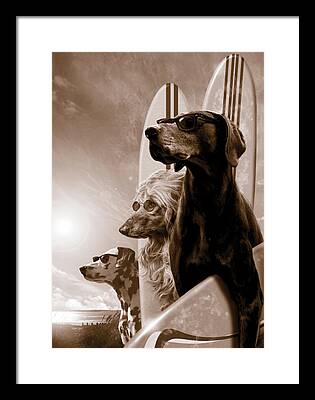 Pet Dogs Framed Prints