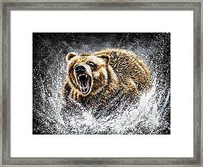 Kodiak Brown Bear Art | Fine Art America