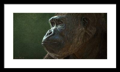 Gorilla Framed Prints