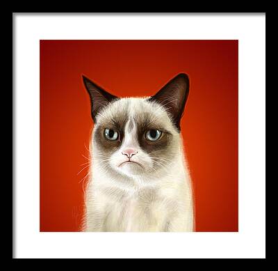 Grumpy Cat Framed Prints