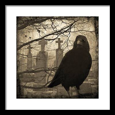 Aged Crow Image Framed Prints