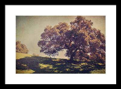 One Tree Hill Framed Prints