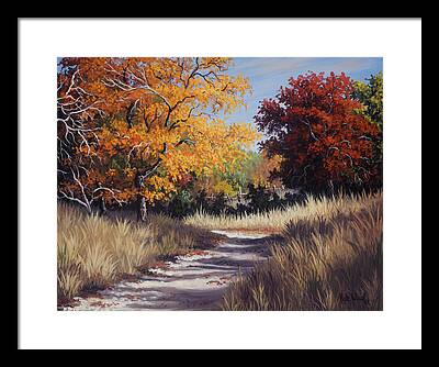 Sawtooth Maple Trees Framed Prints