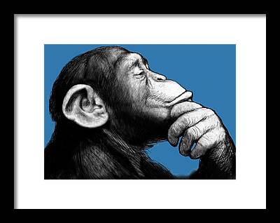 Abstract Monkey Framed Prints