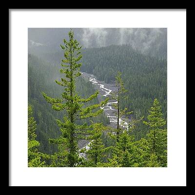 Mt. Rainier National Park Framed Prints