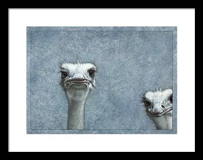 Ostrich Framed Prints