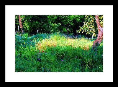 Meadow Shaft Digital Art Framed Prints