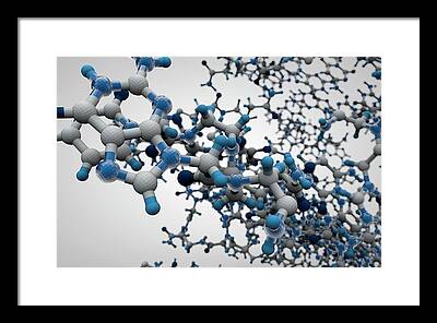 Nucleic Acid Framed Prints