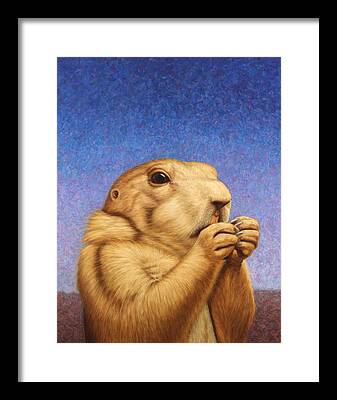 Groundhog Framed Prints