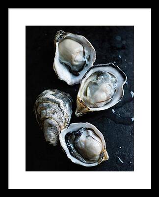 Oysters Framed Prints