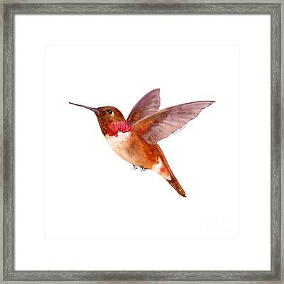 Dainty Hummingbird Papercut Framed Artwork