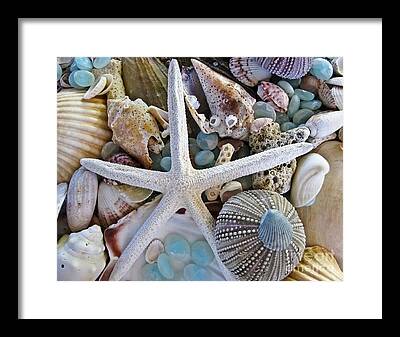 Collecting Shells Framed Prints