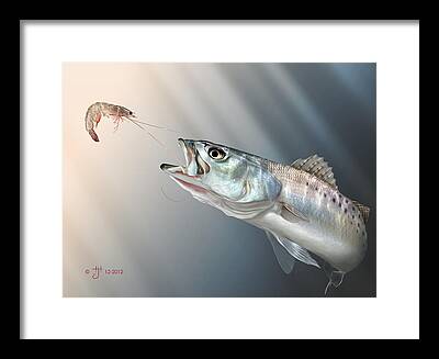 Spotted Trout Framed Prints