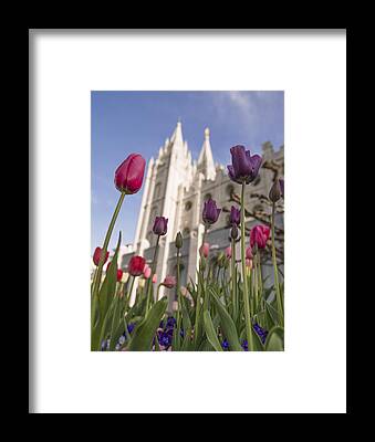 Designs Similar to Temple Tulips by Chad Dutson