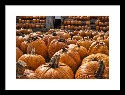 The Great Pumpkin Farm Framed Prints