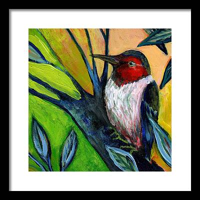 Woodpecker Framed Prints