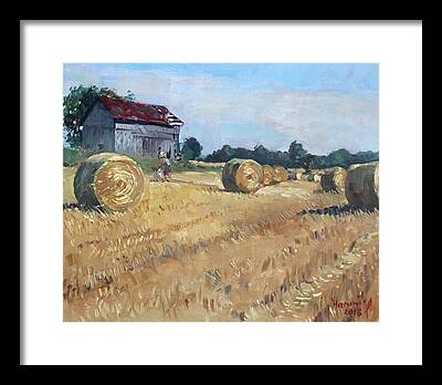 Barn In Corn Field Framed Prints