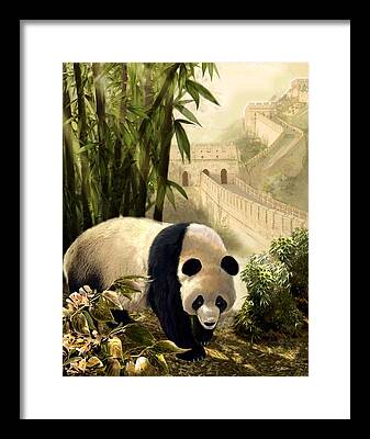 Panda Bear And The Great Wall Of China Framed Prints
