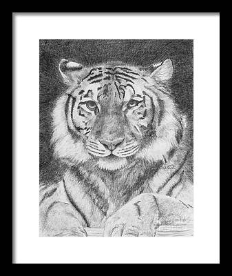 Tinki Pinki Drawings Framed Prints