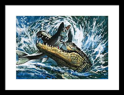 Alligator Framed Prints