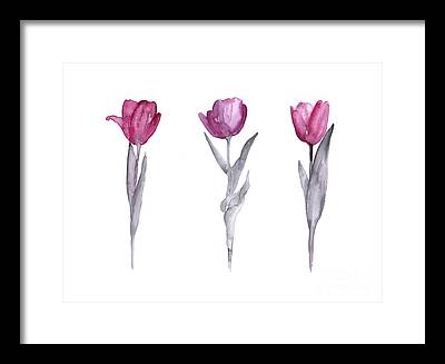 Tulip Framed Prints