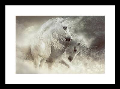 Grey Horse Digital Art Framed Prints