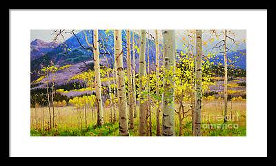 Aspen Canopy Framed Framed Prints