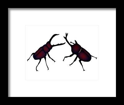 Designs Similar to Beetle and Stag beetle