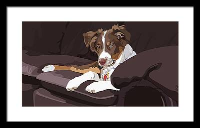 Aussie On Couch Framed Prints