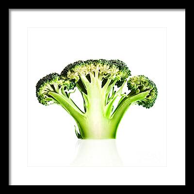 Broccoli Framed Prints