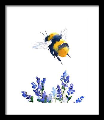 Bumblebee Paintings Framed Prints