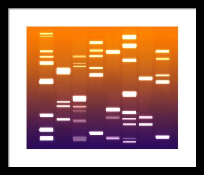 Nucleic Framed Prints