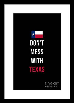 Texas State Flag Framed Prints