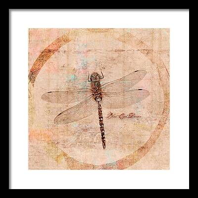 Blue Darner Dragonfly Framed Prints