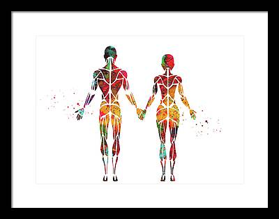Muscular System Digital Art Framed Prints