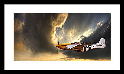 Wings Photos Framed Prints