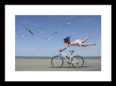 Flying Gulls Framed Prints
