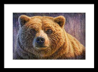 Brown Bear Framed Prints