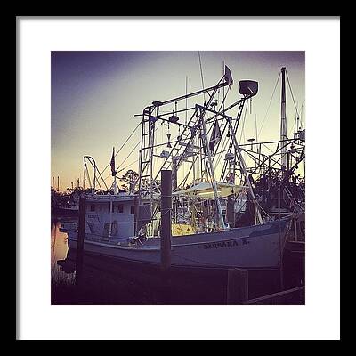 Shrimp Boat Framed Prints