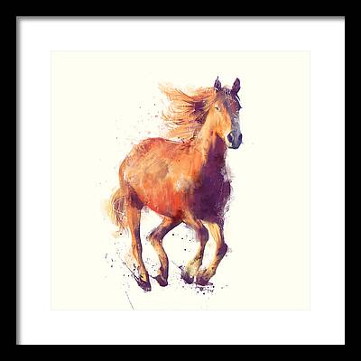 Wild Horses Framed Prints