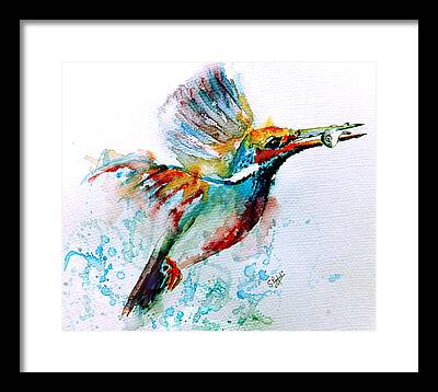 Kingfisher Framed Prints
