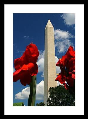 George Washington Monument Framed Prints