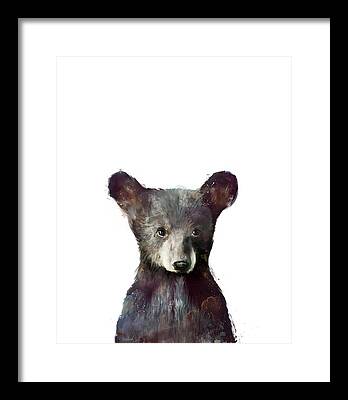 Bear Framed Prints