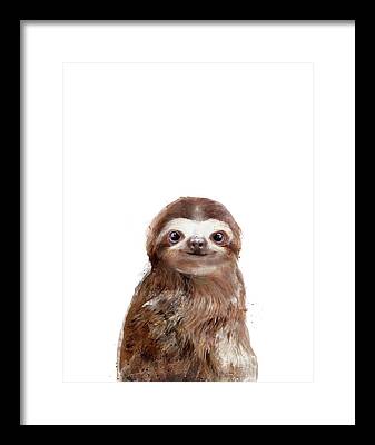 Sloth Paintings Framed Prints
