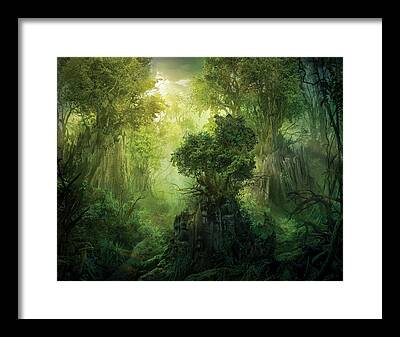 Enchanted Forest Framed Prints