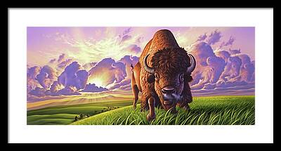 Buffalo Framed Prints